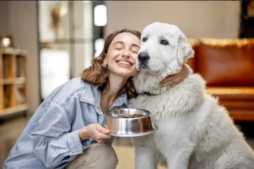 ração para cachorro