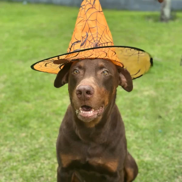 14b043fe-a2df-4b59-8934-3275b046b1e5