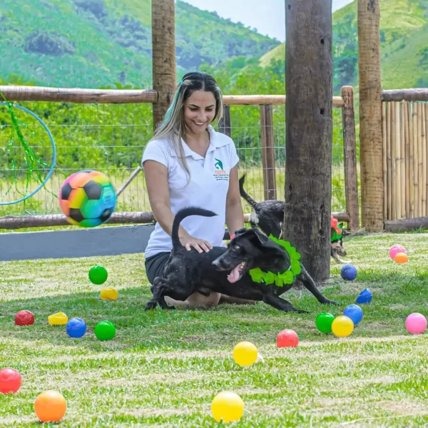 2df51b48-106f-465c-a8c9-26bb1870d638