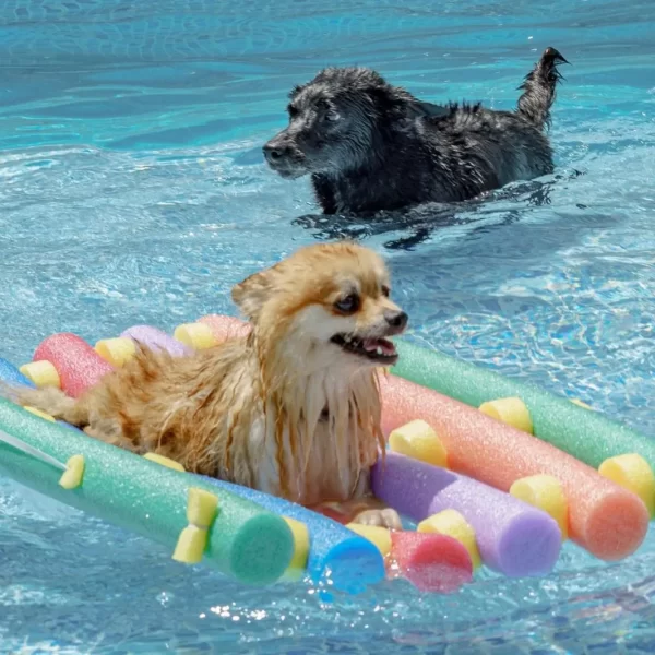 3b8ec759-1e8b-4fd4-be5b-b4a5f6c790dd_11zon