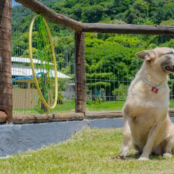 653c6a93-faab-4fb8-9bf6-656586c80fe3