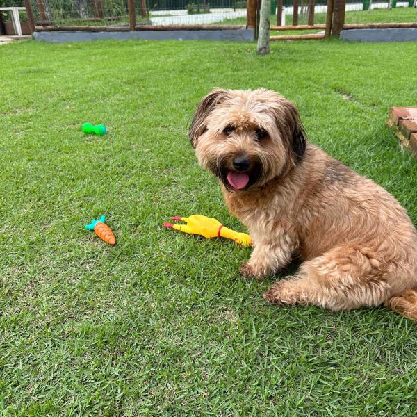 69022e99-3b22-44b0-8904-ca004ed826af_3_11zon