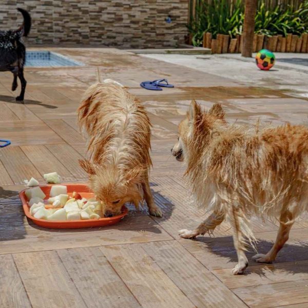 84a61d97-b0ec-423c-87eb-bcfad8e72985_4_11zon