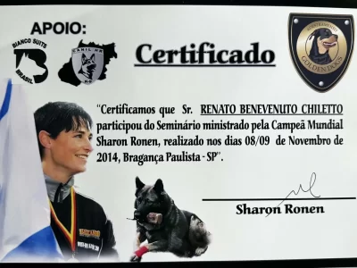 Certificação 4_9