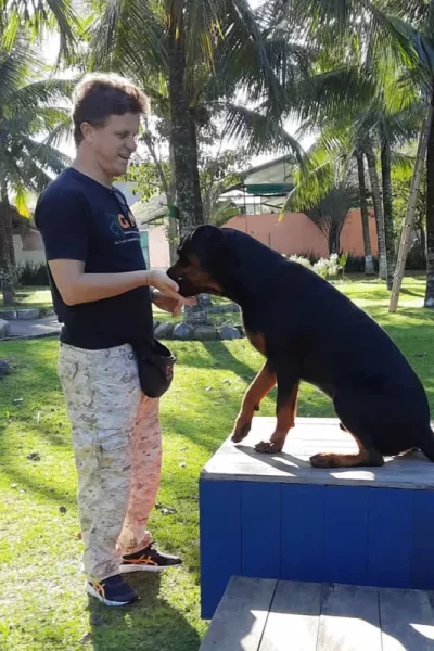 Fotos Canil Gute Adestramento (2)