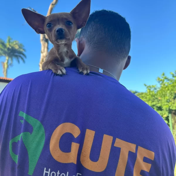 Gute Canil Fotos (9)