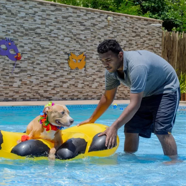 Gute Hospedagem Permanente Fotos (1)